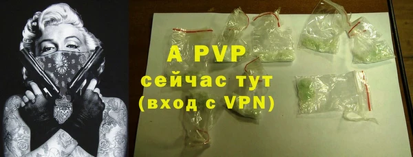 дурь Бородино