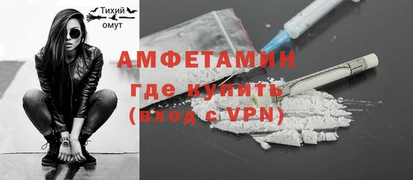 дурь Бородино