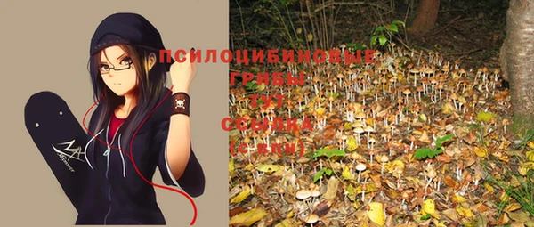 эйфоретик Бугульма