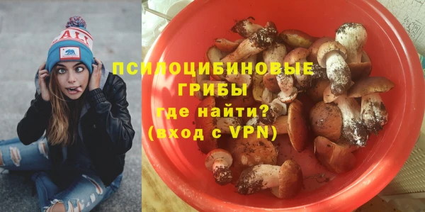 дурь Бородино
