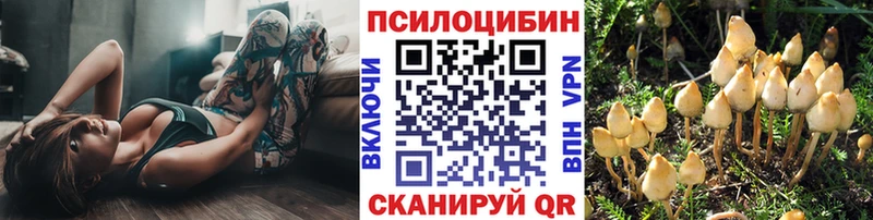Псилоцибиновые грибы GOLDEN TEACHER Мурманск
